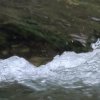 Deutscher Mühlentag in Pfullingen 25.05.2015