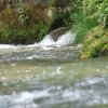 Deutscher Mühlentag in Pfullingen 25.05.2015