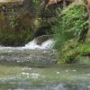 Deutscher Mühlentag in Pfullingen 25.05.2015