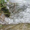 Deutscher Mühlentag in Pfullingen 25.05.2015