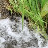 Deutscher Mühlentag in Pfullingen 25.05.2015