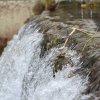 Deutscher Mühlentag in Pfullingen 25.05.2015