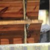 Deutscher Mühlentag in Pfullingen 25.05.2015