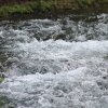 Deutscher Mühlentag in Pfullingen 25.05.2015