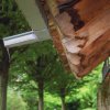 Deutscher Mühlentag in Pfullingen 25.05.2015