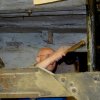 Deutscher Mühlentag in Pfullingen 25.05.2015