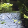 Deutscher Mühlentag in Pfullingen 25.05.2015