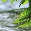 Deutscher Mühlentag in Pfullingen 25.05.2015