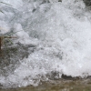 Deutscher Mühlentag in Pfullingen 25.05.2015