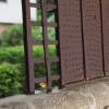 Deutscher Mühlentag in Pfullingen 25.05.2015