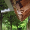 Deutscher Mühlentag in Pfullingen 25.05.2015