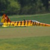 1dfh-js-img_4942_3