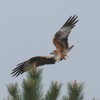1dfh_022_299