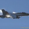 axalp-hornet-8192-1024