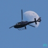 1dfh-bawue-img_5925_1-800
