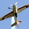 1dfh-diabolo-hahnweide-2005