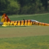 1dfh-js-img_4942_3