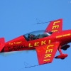 1dfh-leki_9694