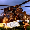 1dfh-seaking-tann