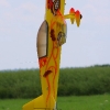 img_0001_6