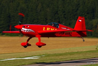 1dfh-donsdorf-300809-048