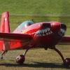 1dfh-donsdorf-300809-060