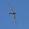 Donzdorfer Flugtage 27.08.2016