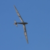 Donzdorfer Flugtage 27.08.2016