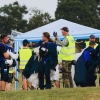 Donzdorfer Flugtage 28.08.2016
