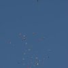1dfh-4df-gra2010-019