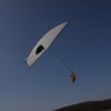 1dfh-4df-gra2010-042
