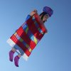 1dfh-4df-gra2010-092