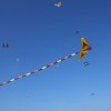 1dfh-4df-gra2010-099