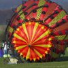 1dfh-4df-gra2010-116