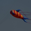 1dfh-4df-gra2010-001