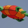 1dfh-4df-gra2010-002