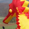 1dfh-4df-gra2010-007