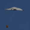 1dfh-4df-gra2010-013