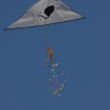 1dfh-4df-gra2010-015