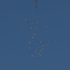 1dfh-4df-gra2010-018