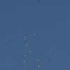 1dfh-4df-gra2010-019