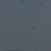 1dfh-4df-gra2010-021