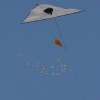 1dfh-4df-gra2010-028