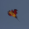 1dfh-4df-gra2010-069