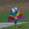 1dfh-4df-gra2010-077