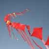 1dfh-4df-gra2010-095