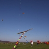 1dfh-4df-gra2010-098