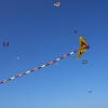 1dfh-4df-gra2010-099