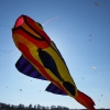 1dfh-4df-gra2010-102