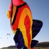 1dfh-4df-gra2010-103